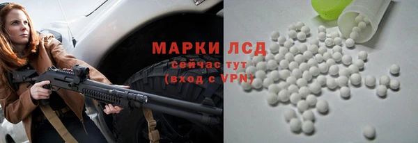 стафф Касимов