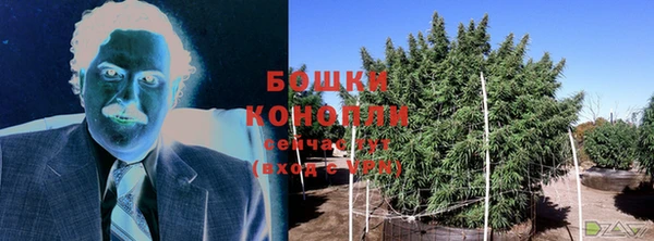 стаф Каменногорск